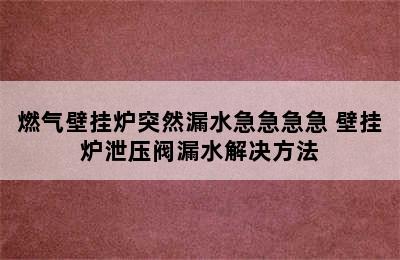 燃气壁挂炉突然漏水急急急急 壁挂炉泄压阀漏水解决方法